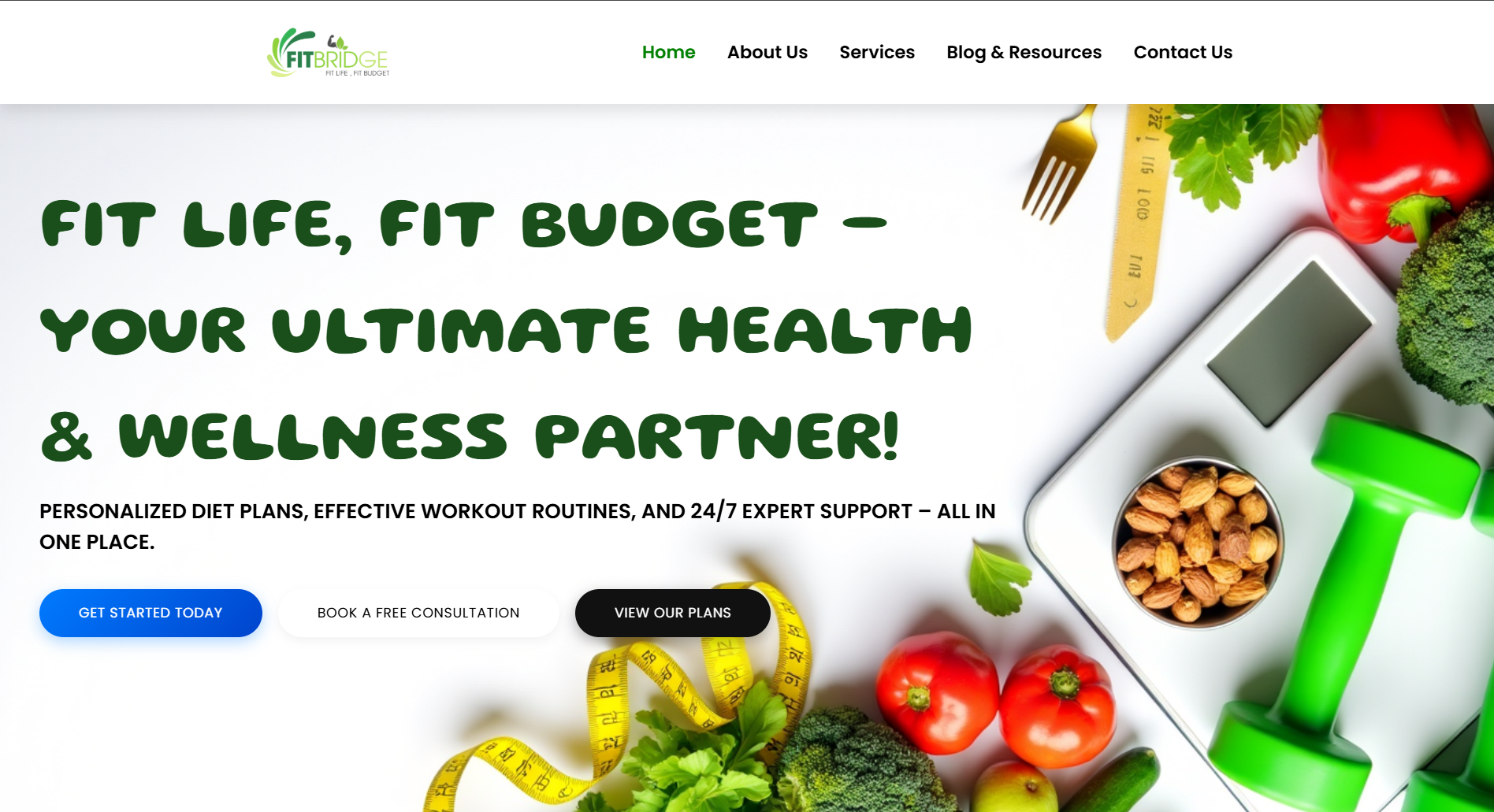 fitbridge